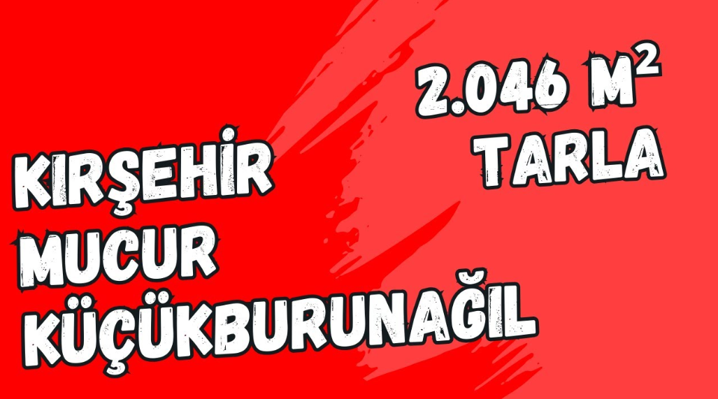 KIRŞEHİR MUCUR KÜÇÜKBURUNAĞIL KÖYÜ 2.046 M² TARLA SATILIKTIR. - KIRŞEHİR MUCUR fotoğraf 8